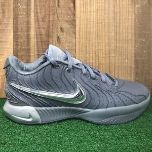 Nike Lebron XXI Resilience Cool Grey/Chrome Basketball Shoes, New! Men's 11